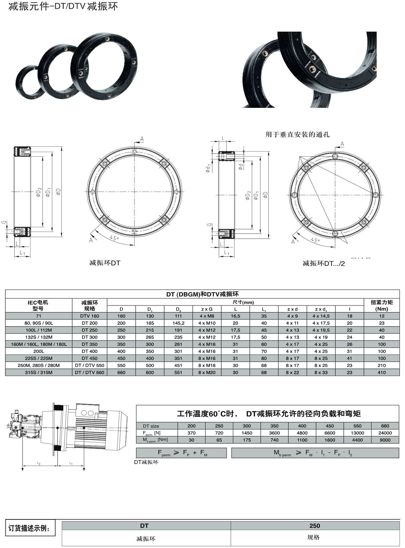 H09 DT DTV减振环.Jpeg